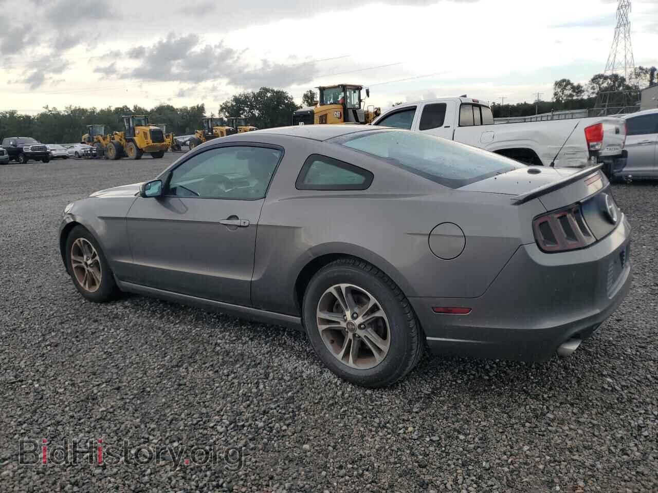 2013 FORD MUSTANG - VIN: 1ZVBP8AM8D5264898 - Photo 2