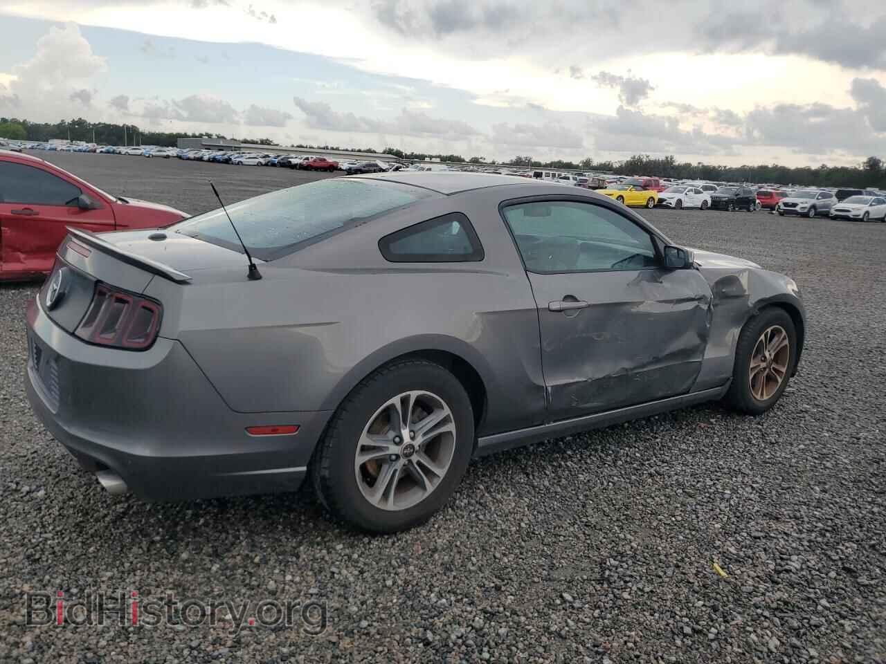2013 FORD MUSTANG - VIN: 1ZVBP8AM8D5264898 - Photo 3