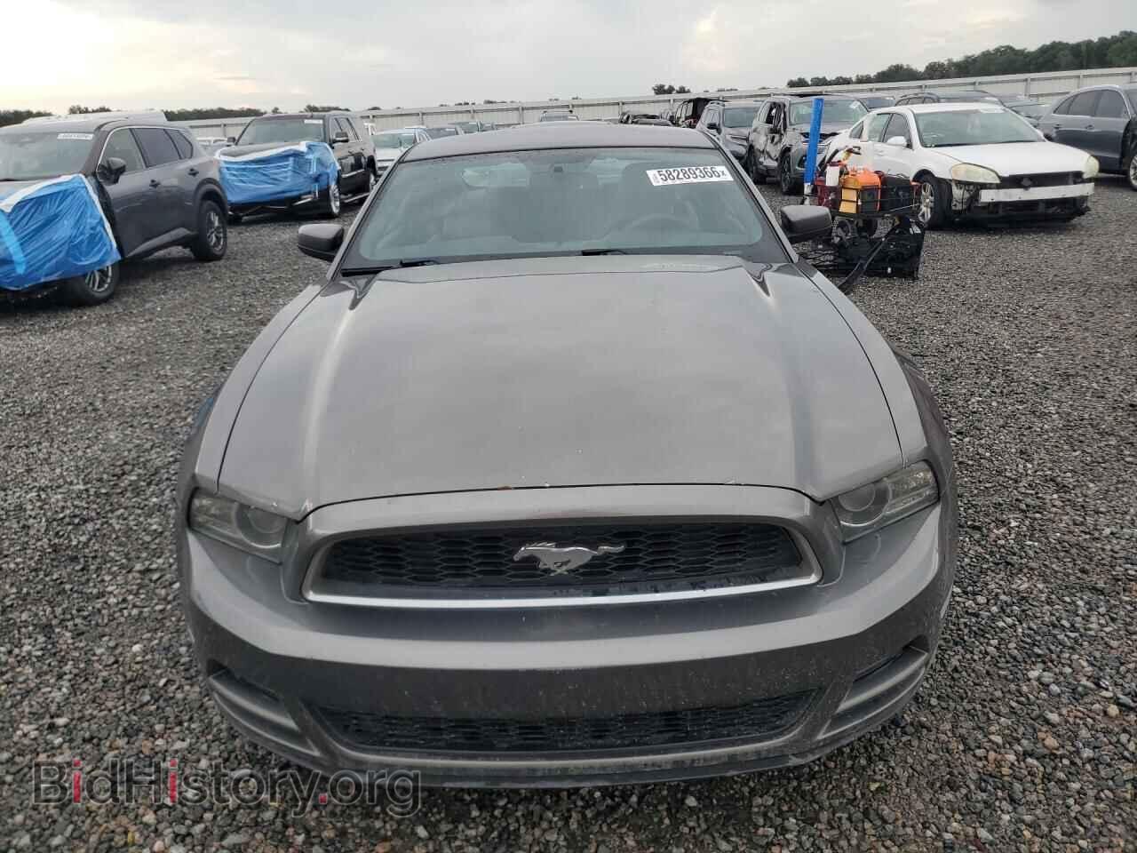 2013 FORD MUSTANG - VIN: 1ZVBP8AM8D5264898 - Photo 5