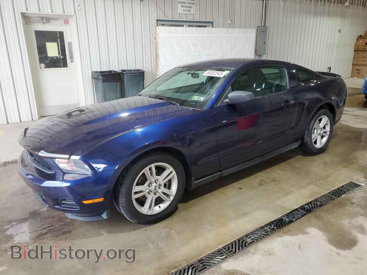 Photo 1ZVBP8AN9A5116893 - FORD ALL Models 2010