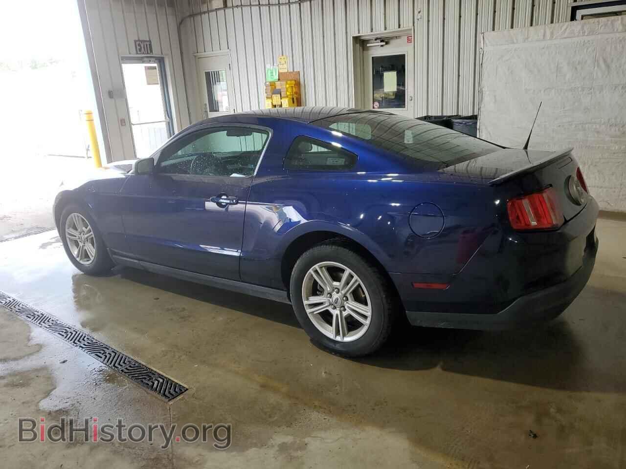 2010 FORD ALL Models - VIN: 1ZVBP8AN9A5116893 - Фото 2