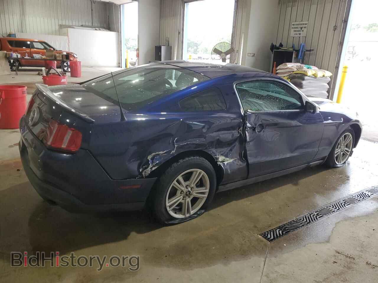 2010 FORD ALL Models - VIN: 1ZVBP8AN9A5116893 - Фото 3