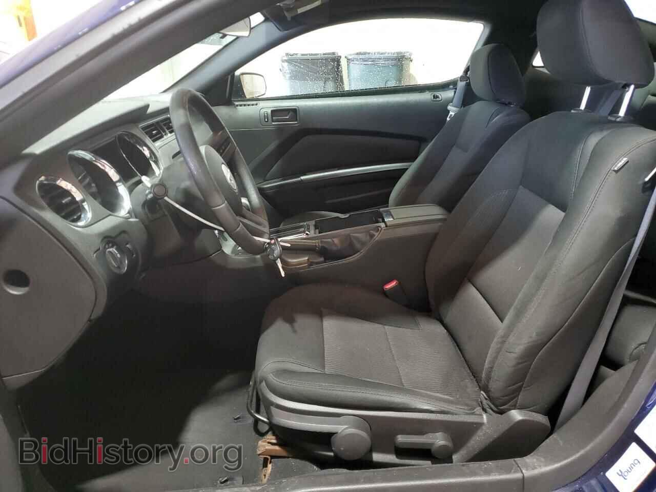 2010 FORD ALL Models - VIN: 1ZVBP8AN9A5116893 - Фото 7