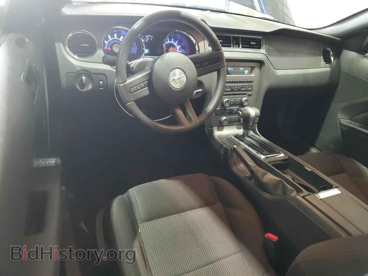 2010 FORD ALL Models - VIN: 1ZVBP8AN9A5116893 - Фото 8