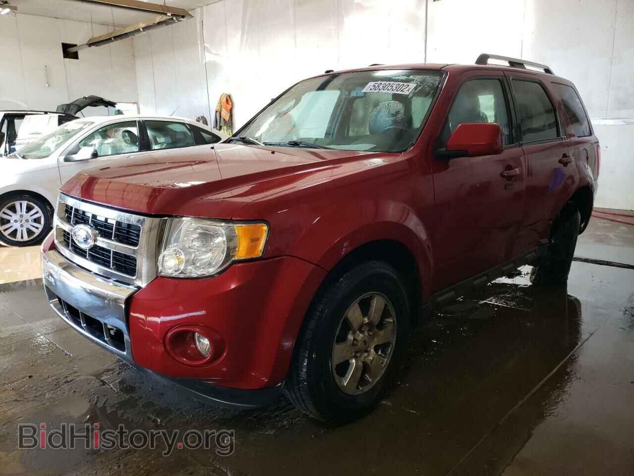2011 FORD ESCAPE - VIN: 1FMCU9EG0BKC29244 - Фото 2