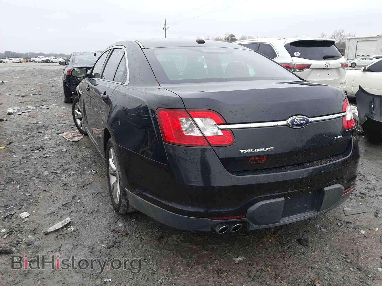 2010 FORD TAURUS - VIN: 1FAHP2EW6AG165542 - Фото 3