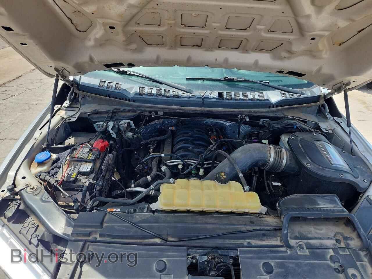 2019 FORD F150 - VIN: 1FTEW1E52KKC48157 - Photo 11