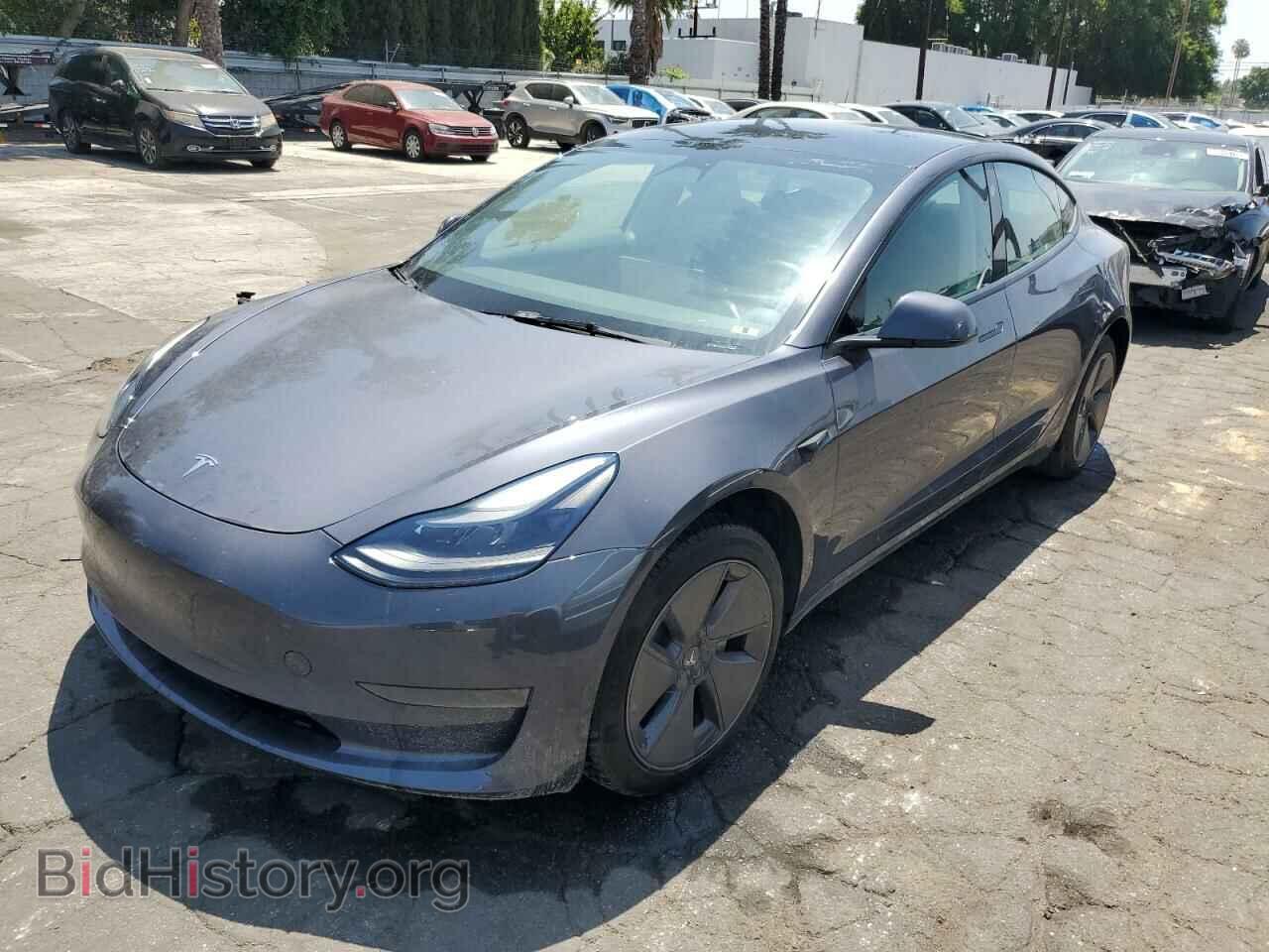 Фотография 5YJ3E1EA8PF431008 - TESLA MODEL 3 2023