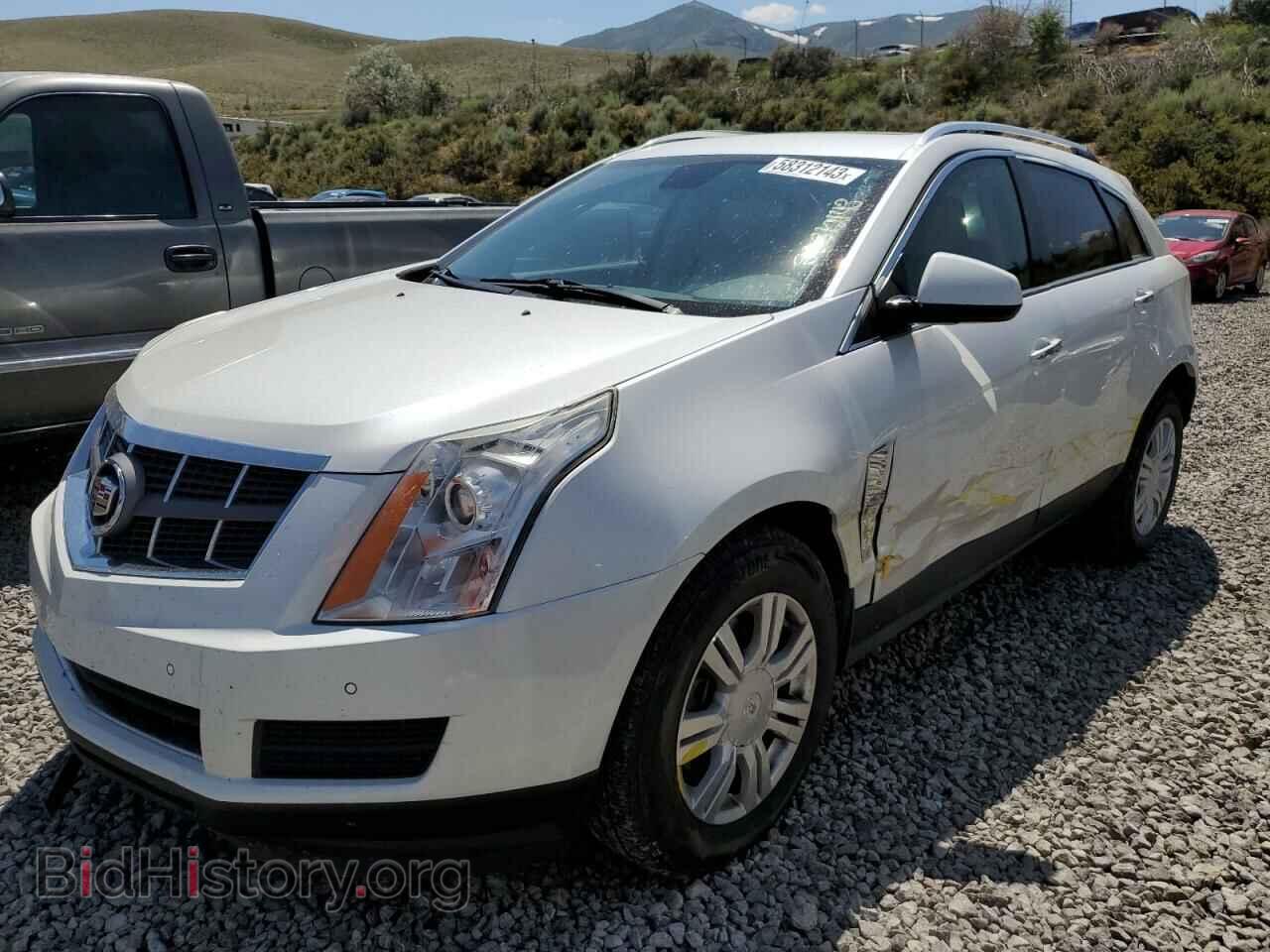 Photo 3GYFNDEY4AS626947 - CADILLAC SRX 2010