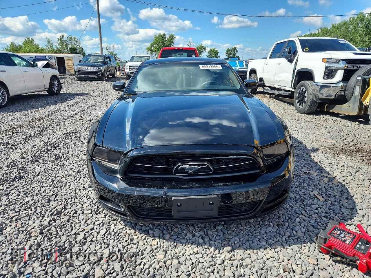 2014 FORD MUSTANG - VIN: 1ZVBP8AM8E5333980 - Фото 5