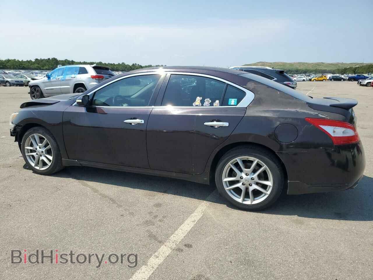 2010 NISSAN MAXIMA - VIN: 1N4AA5AP1AC855323 - Фото 2