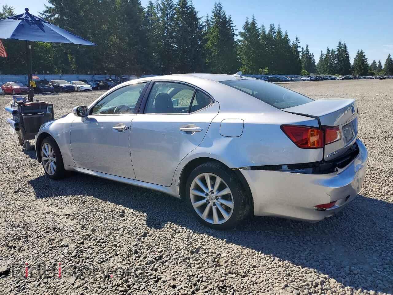 2010 LEXUS IS - VIN: JTHCF5C25A5042236 - Фото 2