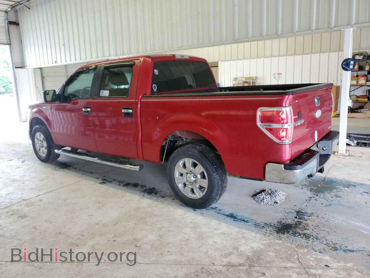 2011 FORD F-150 - VIN: 1FTEW1CM5BFD02781 - Фото 2
