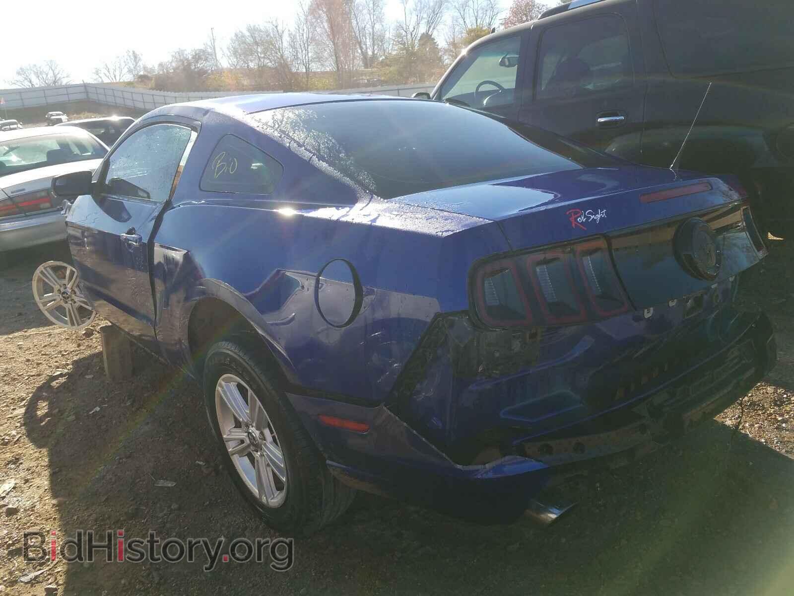 2013 FORD MUSTANG - VIN: 1ZVBP8AM0D5271537 - Фото 3