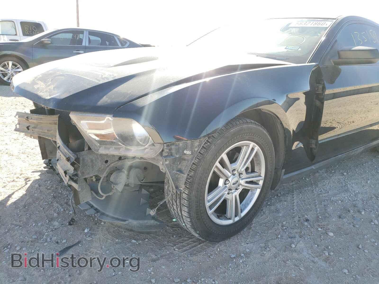 2011 FORD MUSTANG - VIN: 1ZVBP8AM9B5133833 - Фото 10
