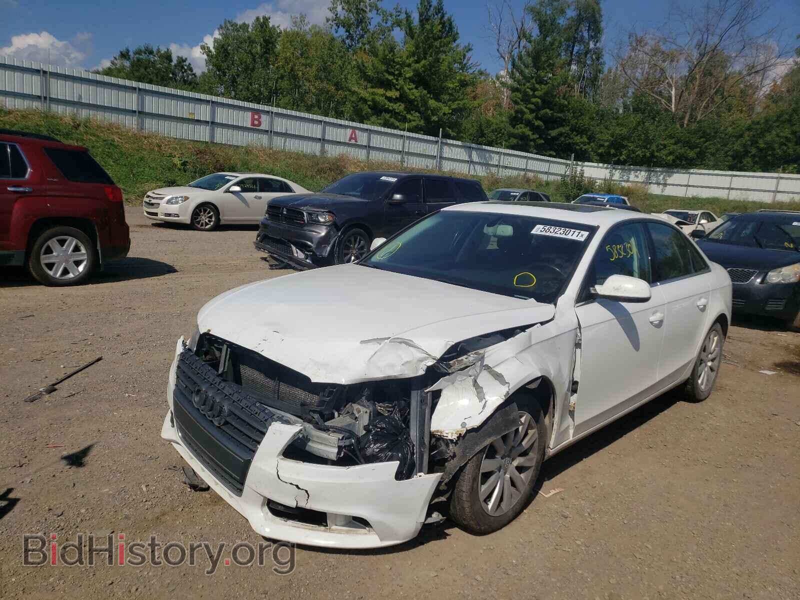 2011 AUDI A4 - VIN: WAUFFAFL6BN044703 - Фото 2