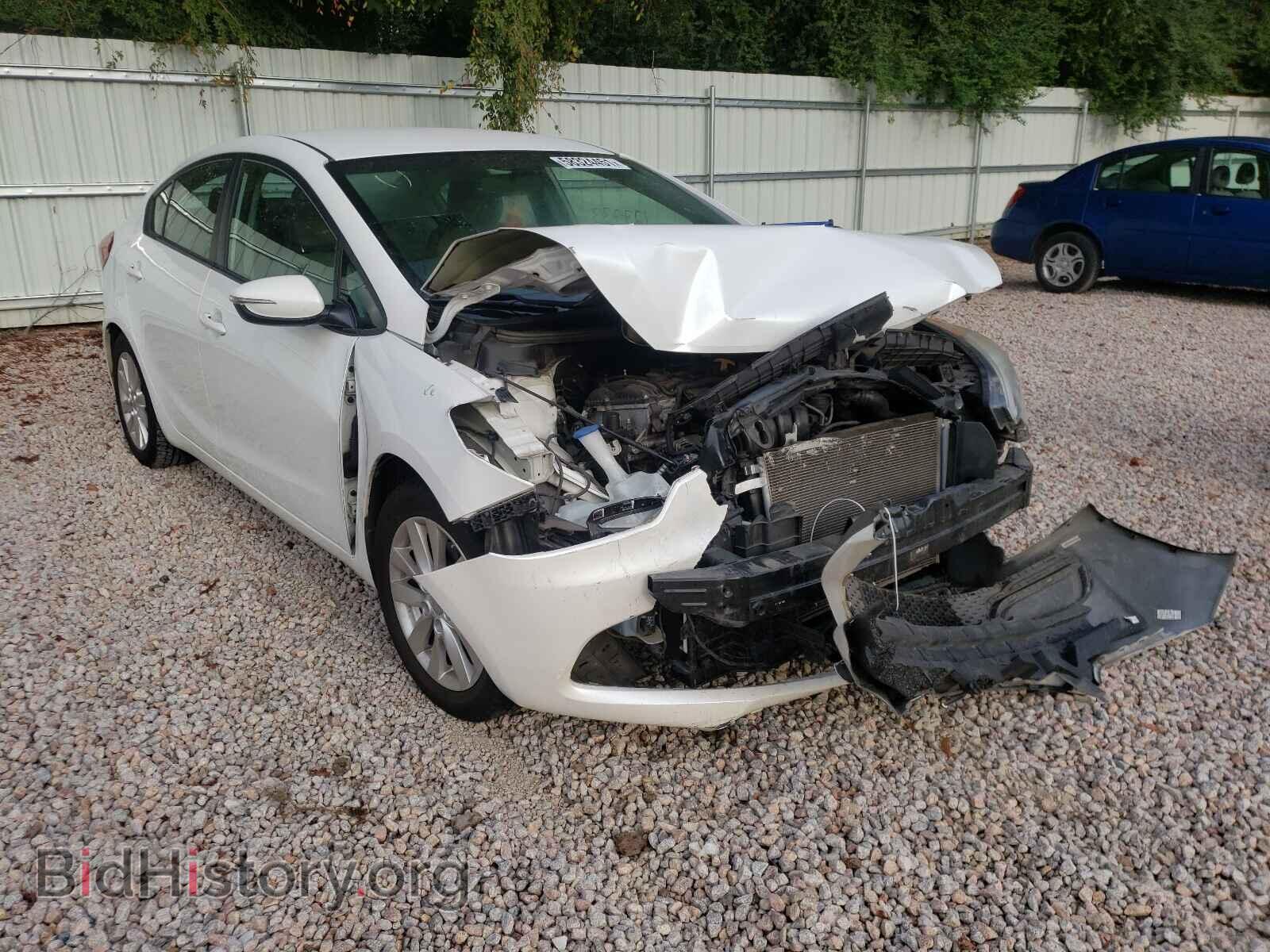 Фотография KNAFX4A60F5274260 - KIA FORTE 2015
