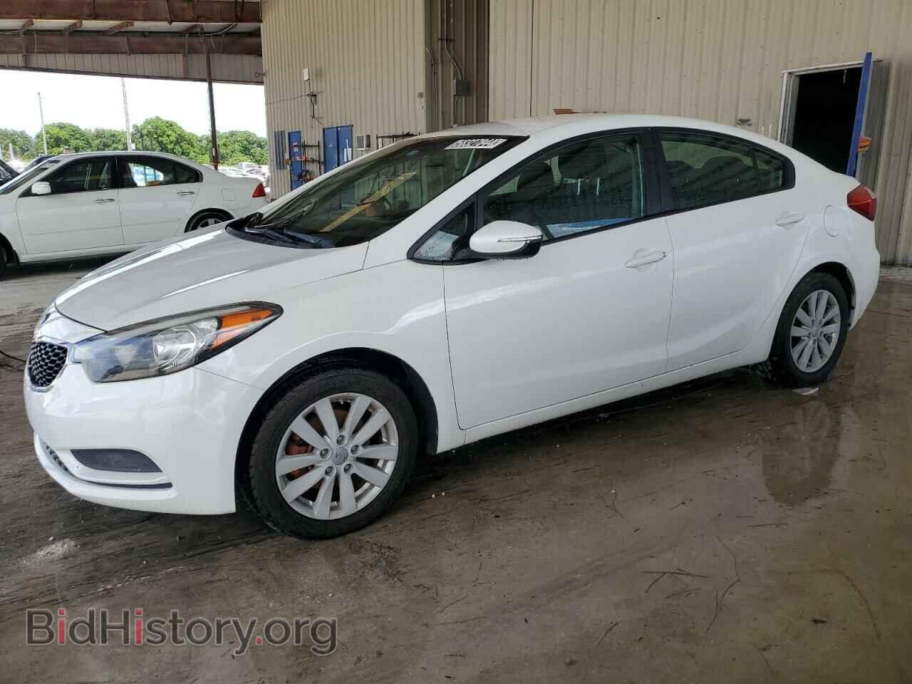 Фотография KNAFX4A68E5219344 - KIA FORTE 2014