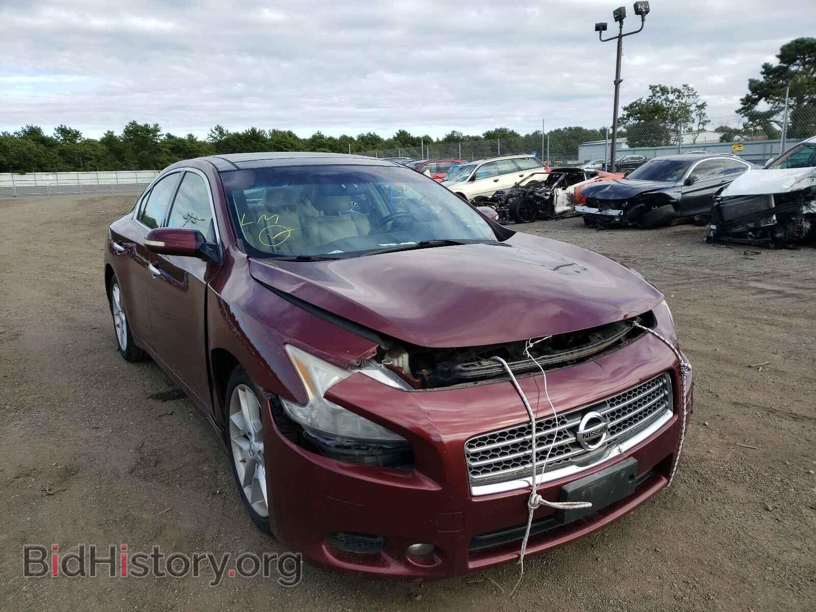Фотография 1N4AA5AP2BC800915 - NISSAN MAXIMA 2011