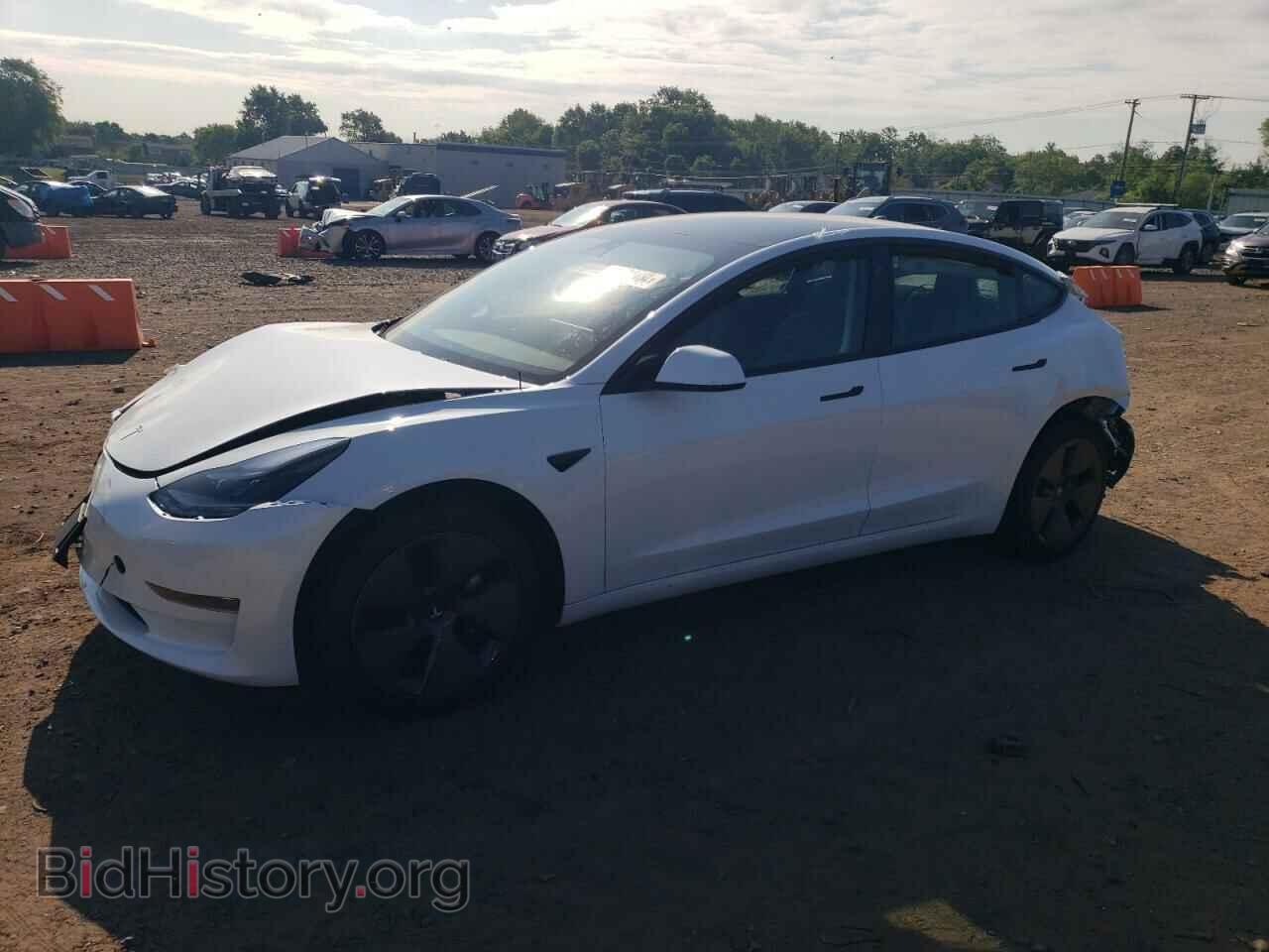 Фотография 5YJ3E1EA9PF509537 - TESLA MODEL 3 2023