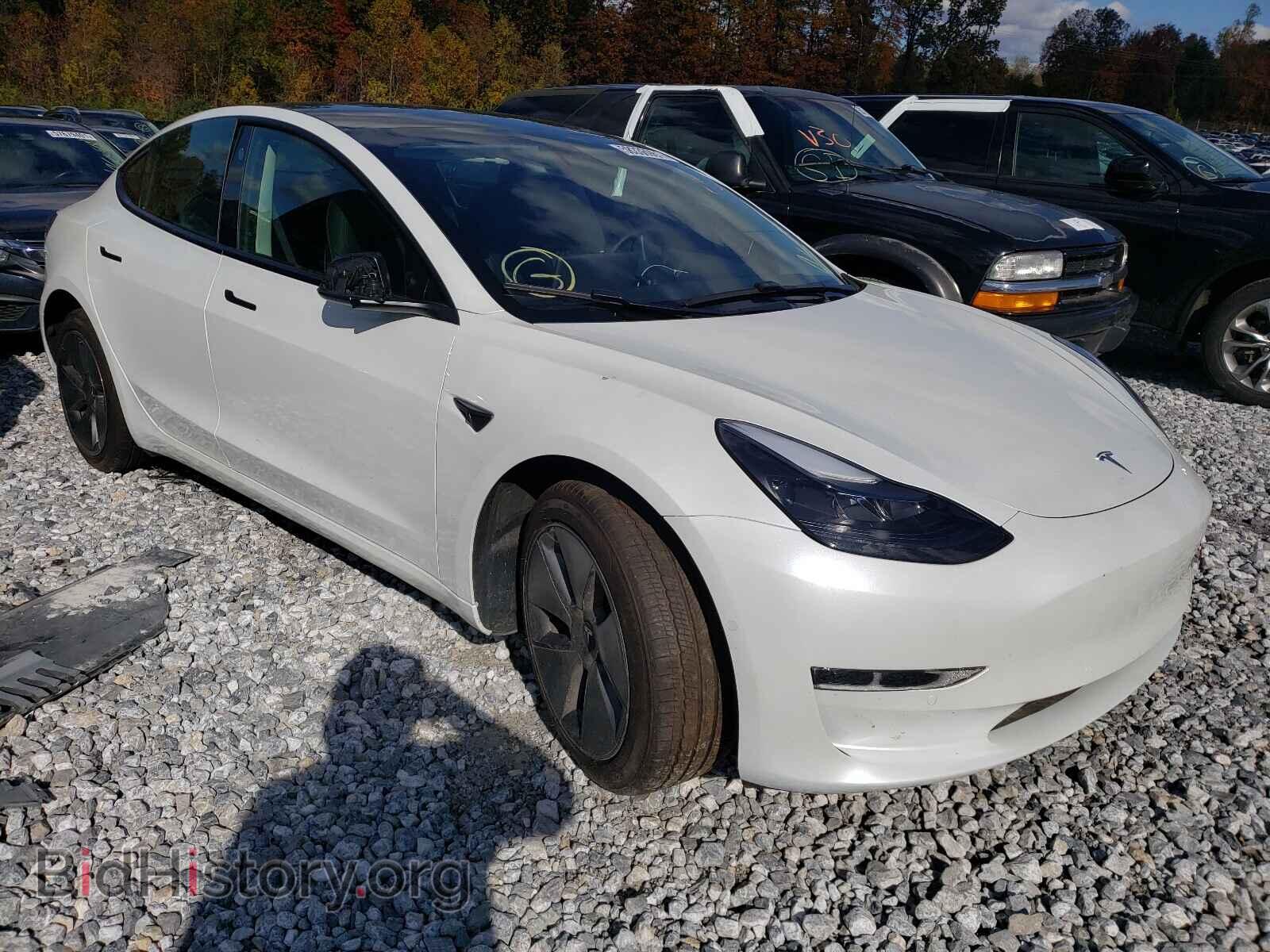 Photo 5YJ3E1EA9MF920979 - TESLA MODEL 3 2021