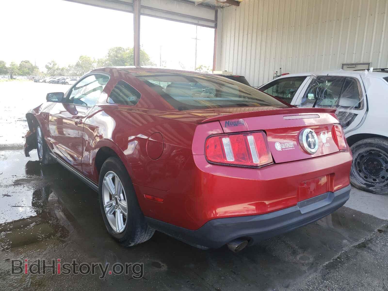 2012 FORD MUSTANG - VIN: 1ZVBP8AM9C5252449 - Фото 3