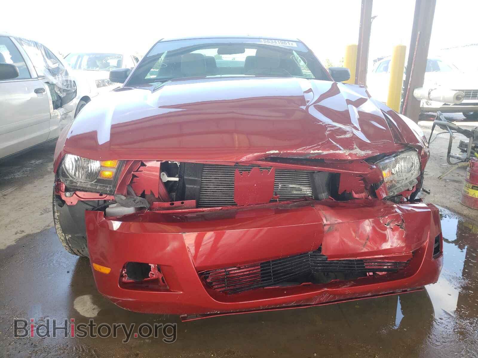 2012 FORD MUSTANG - VIN: 1ZVBP8AM9C5252449 - Фото 9