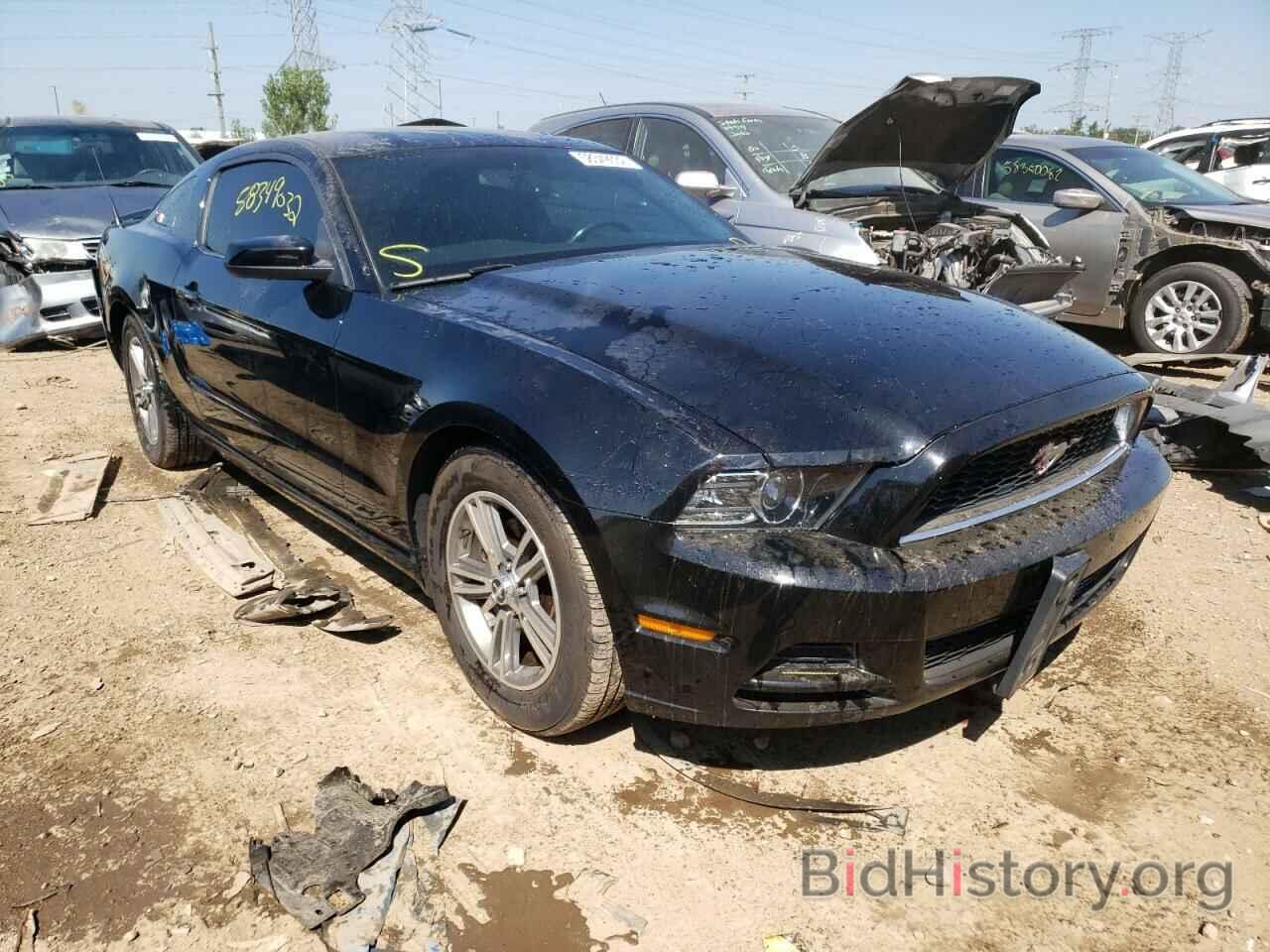 Photo 1ZVBP8AM1D5203098 - FORD MUSTANG 2013