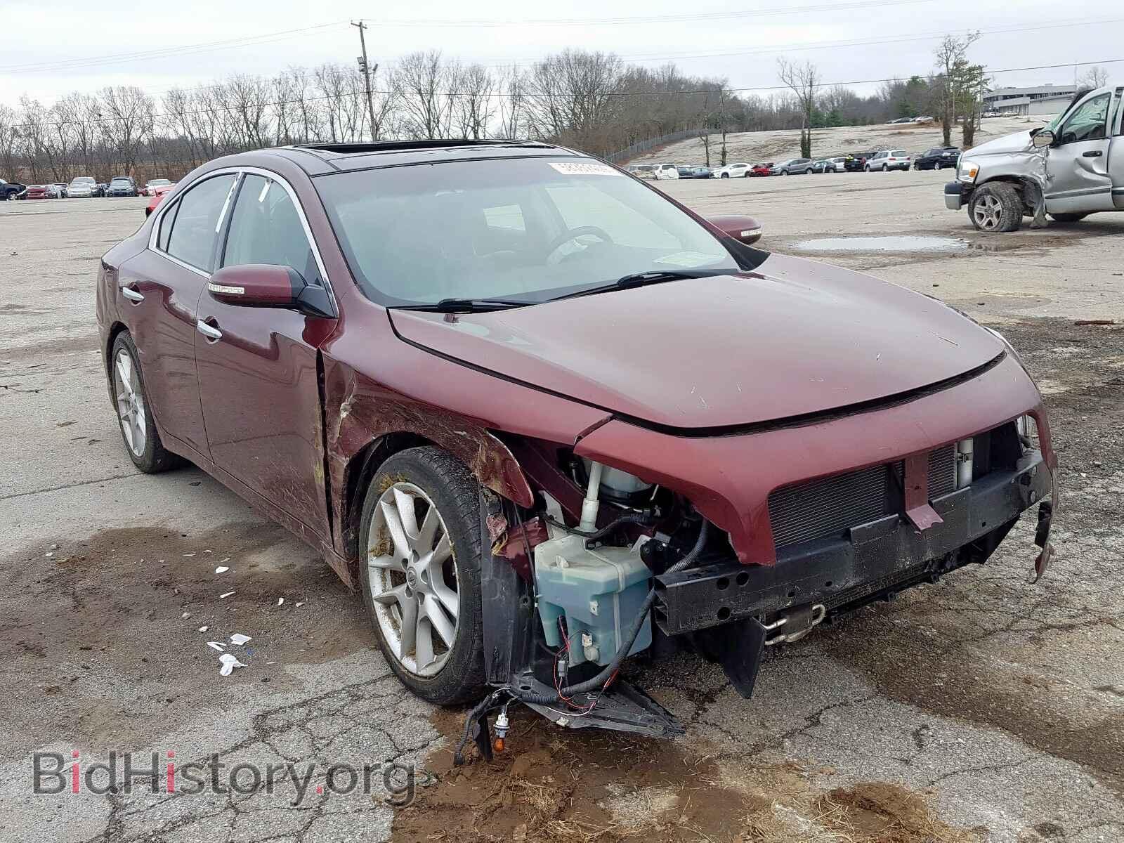 Фотография 1N4AA5AP2BC850536 - NISSAN MAXIMA 2011