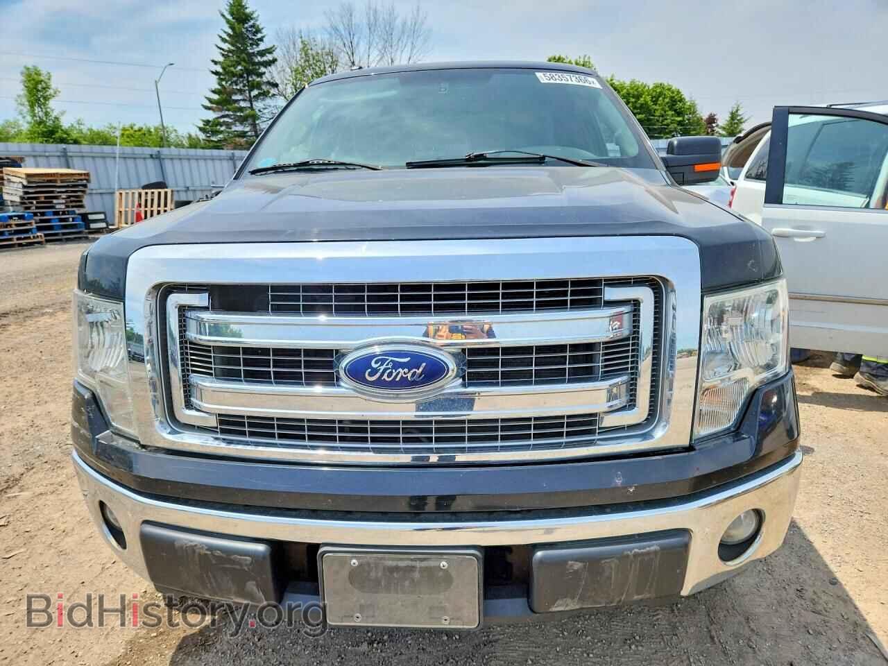 2013 FORD F150 - VIN: 1FTFX1EF0DFC00906 - Photo 5