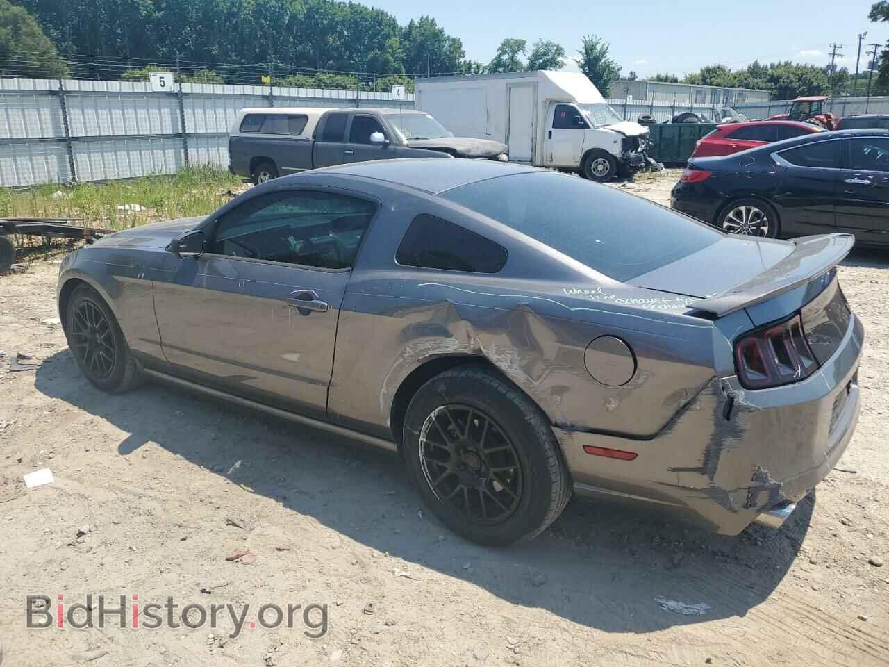2014 FORD ALL Models - VIN: 1ZVBP8AM4E5280307 - Фото 2