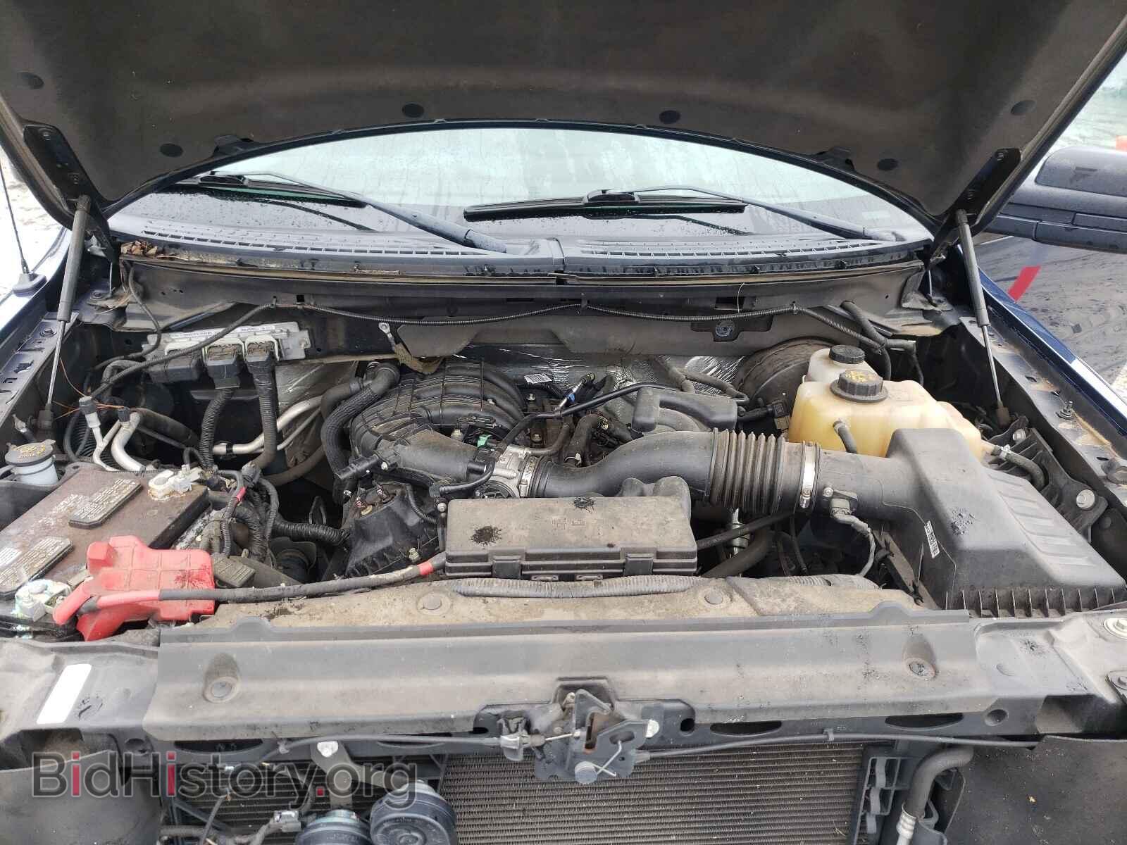 2013 FORD F150 - VIN: 1FTMF1CM5DKD33891 - Фото 7