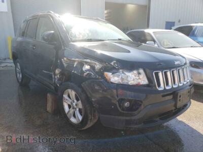 2011 Jeep COMPASS Compass SP, black — VIN 1J4NT1FA5BD137573, Copart