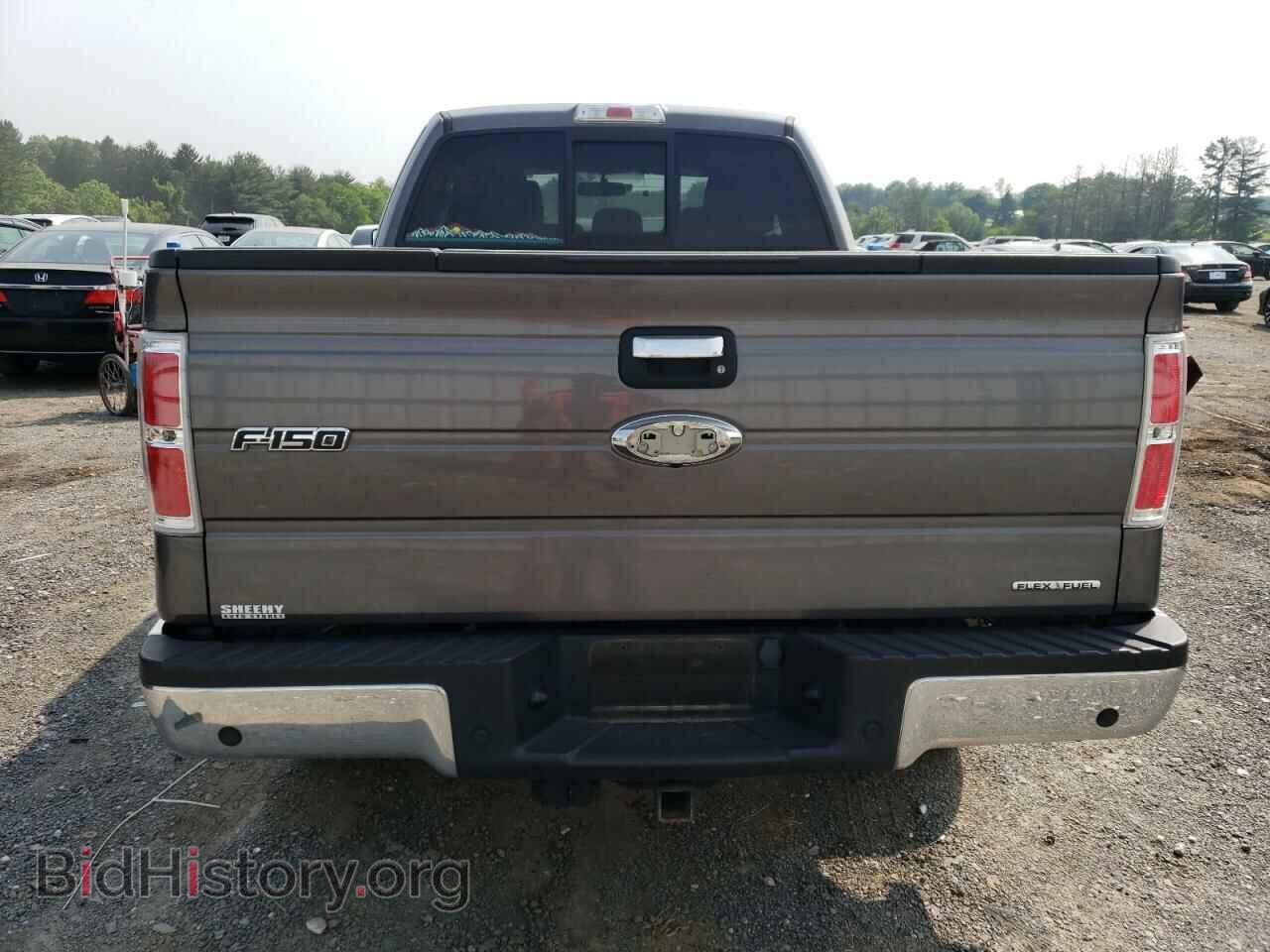 2013 FORD F-150 - VIN: 1FTFX1EF8DKD72110 - Фото 6