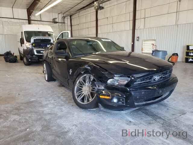 Photo 1ZVBP8AM3C5280425 - FORD MUSTANG 2012
