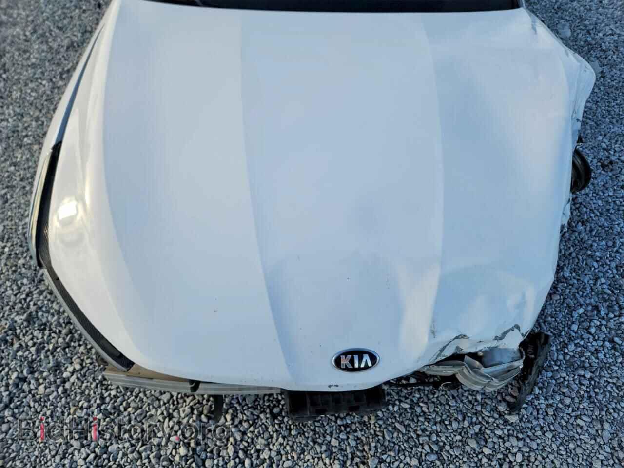 2021 KIA K5 - VIN: 5XXG34J29MG037677 - Фото 11
