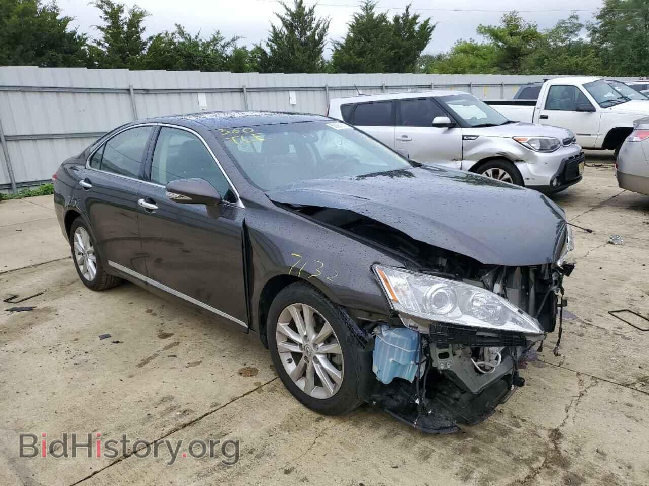 Фотография JTHBK1EG8A2405865 - LEXUS ES350 2010
