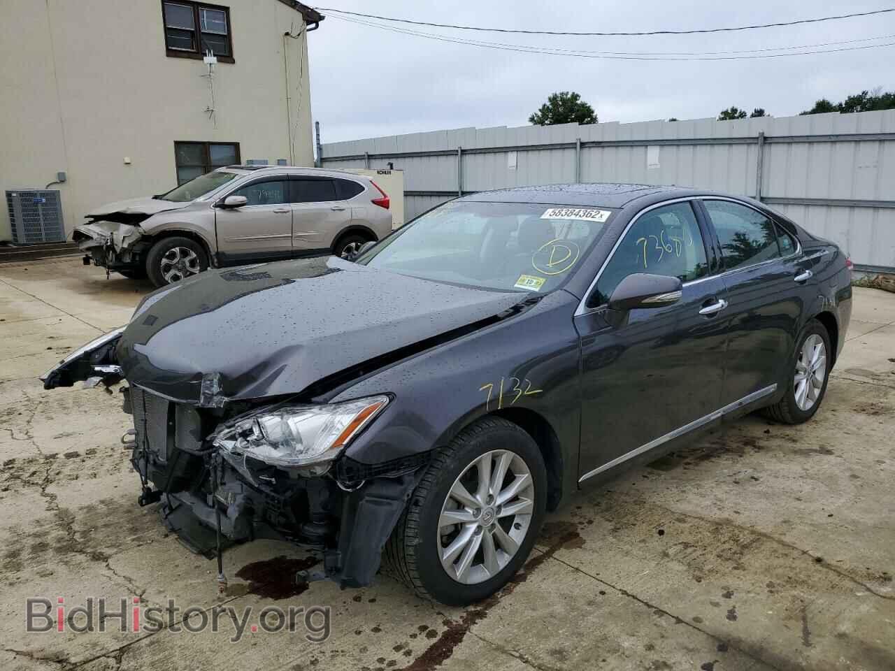 2010 LEXUS ES350 - VIN: JTHBK1EG8A2405865 - Фото 2