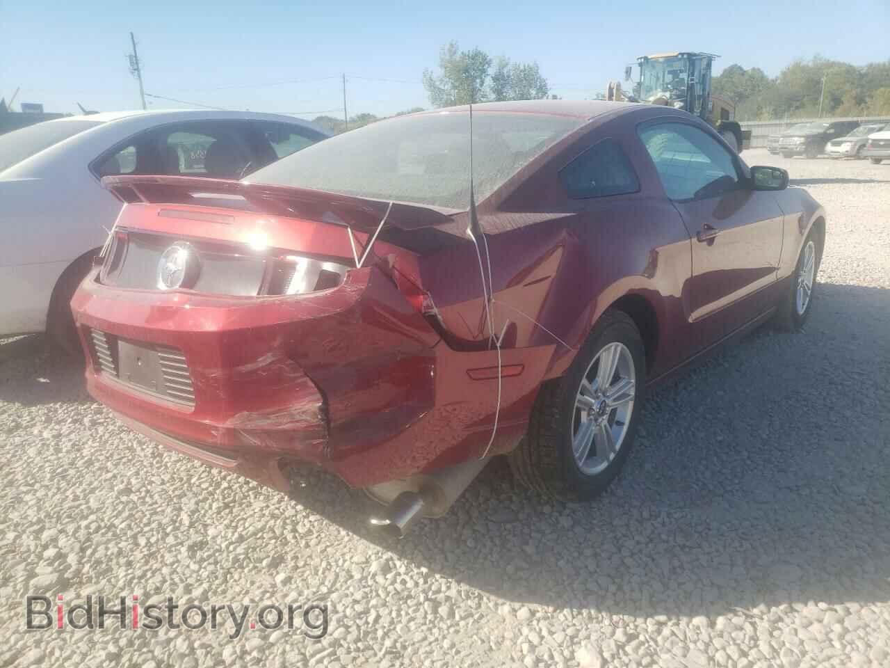 2014 FORD MUSTANG - VIN: 1ZVBP8AM4E5315461 - Фото 4