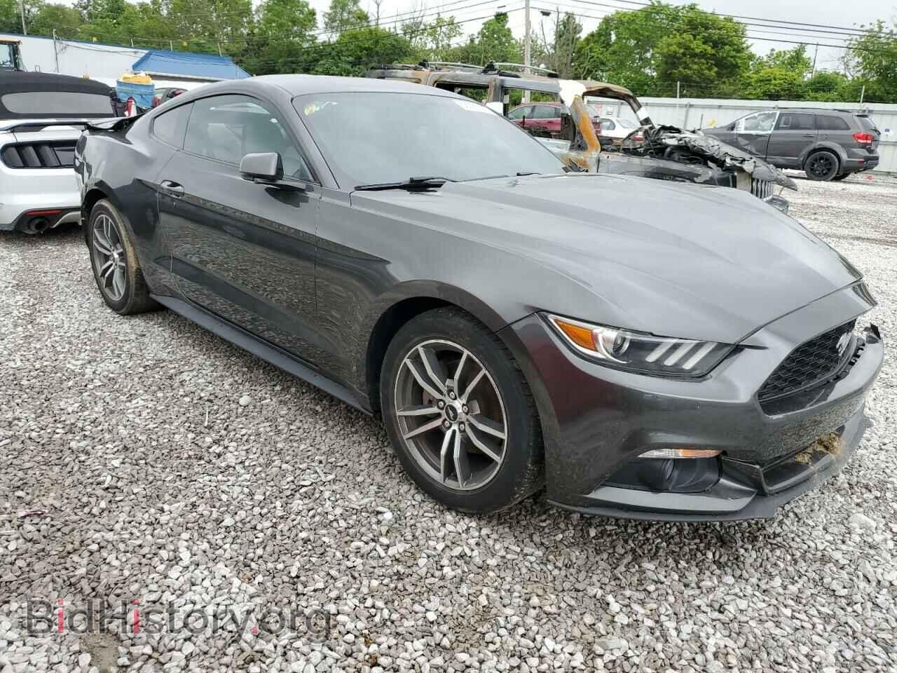 2017 FORD ALL Models - VIN: 1FA6P8THXH5204976 - Фото 4