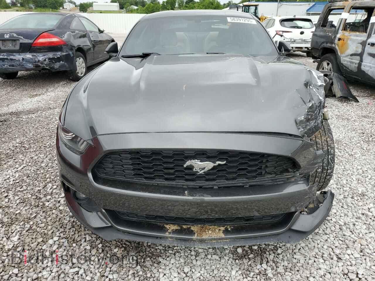 2017 FORD ALL Models - VIN: 1FA6P8THXH5204976 - Фото 5