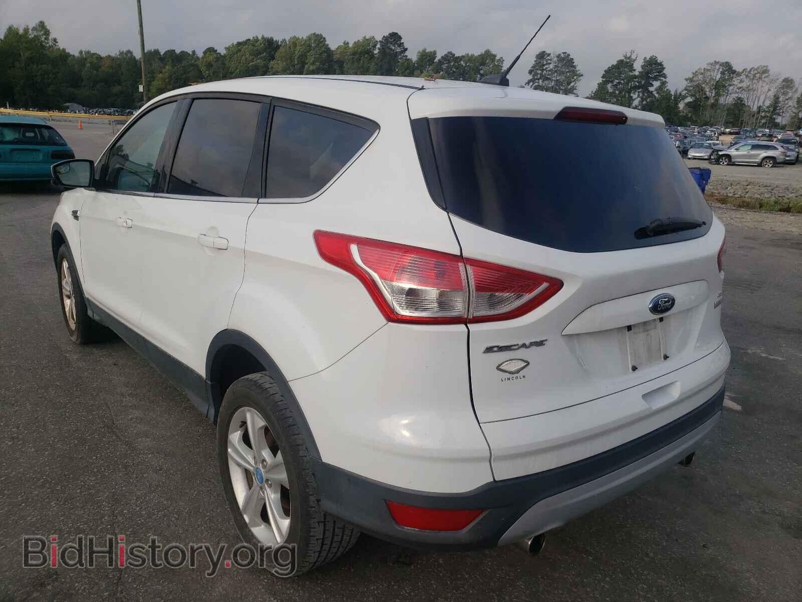 2013 FORD ESCAPE - VIN: 1FMCU0GX1DUC19497 - Фото 3