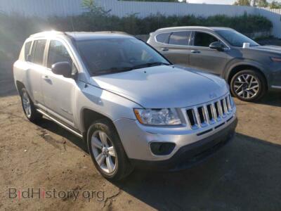 2011 Jeep COMPASS Compass SP, silver — VIN 1J4NF1FB5BD251671, Copart