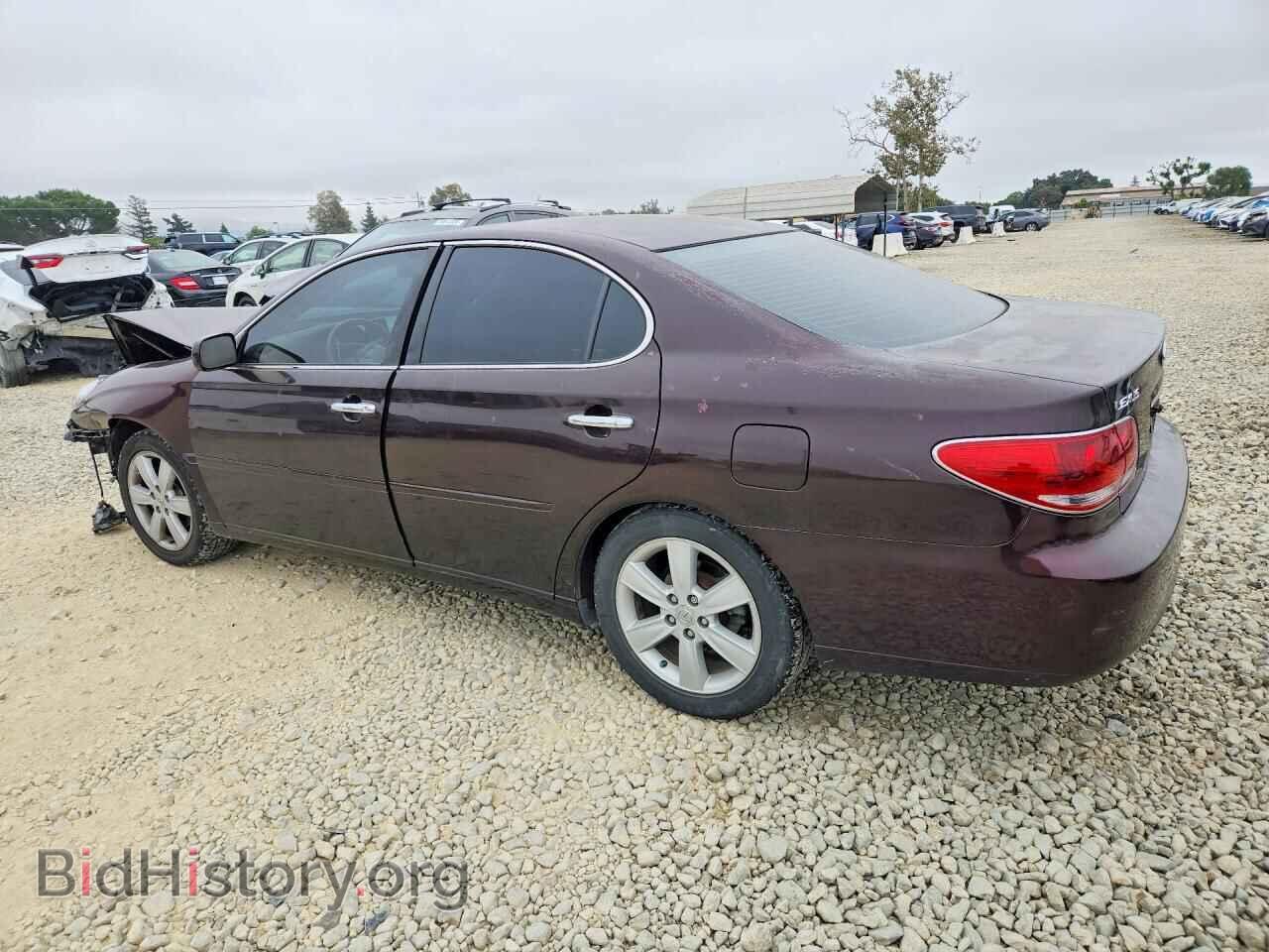 2005 LEXUS ES330 - VIN: JTHBA30G855134669 - Фото 2