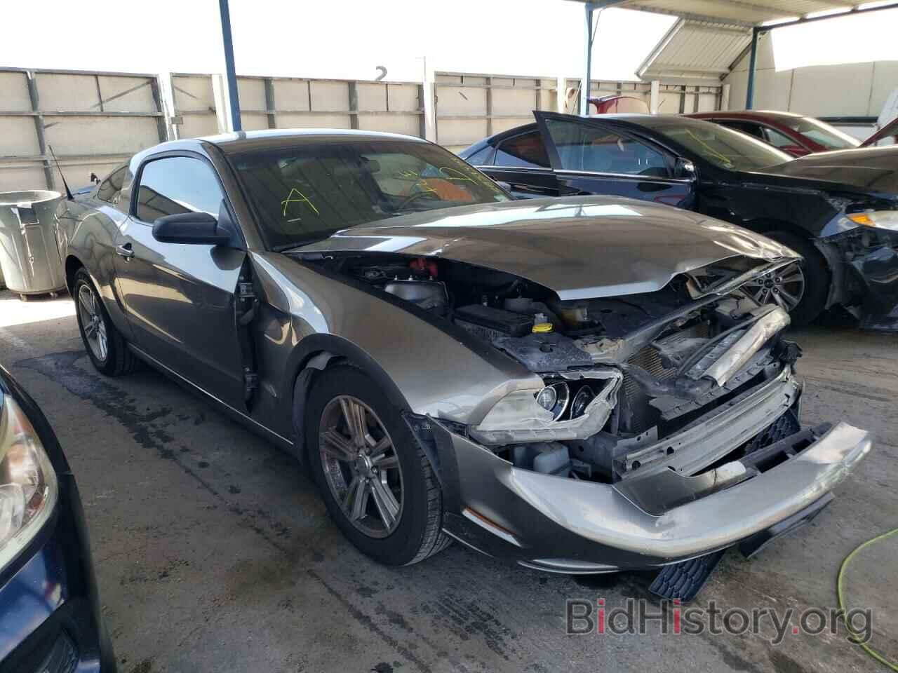 Photo 1ZVBP8AM6D5232354 - FORD MUSTANG 2013