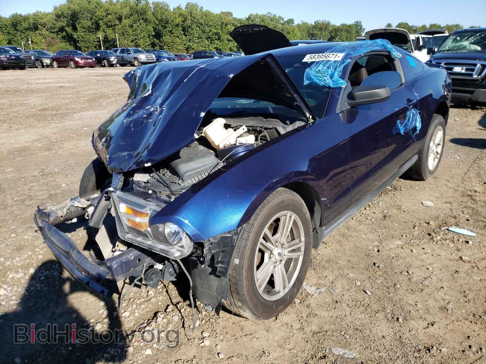 2012 FORD MUSTANG - VIN: 1ZVBP8AM9C5202974 - Фото 2