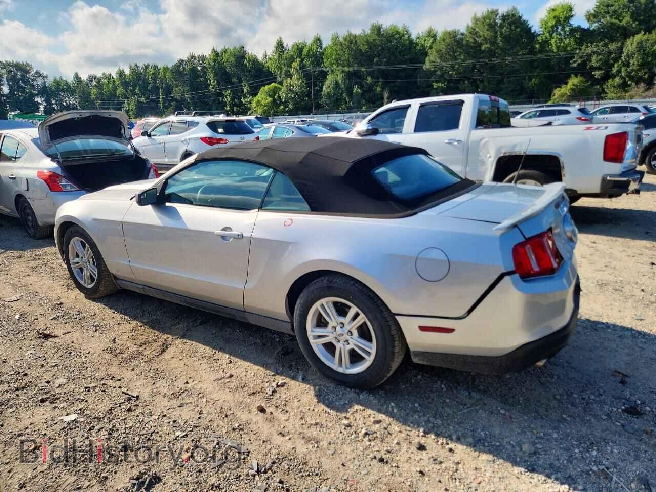2011 FORD MUSTANG - VIN: 1ZVBP8EM6B5159378 - Фото 2
