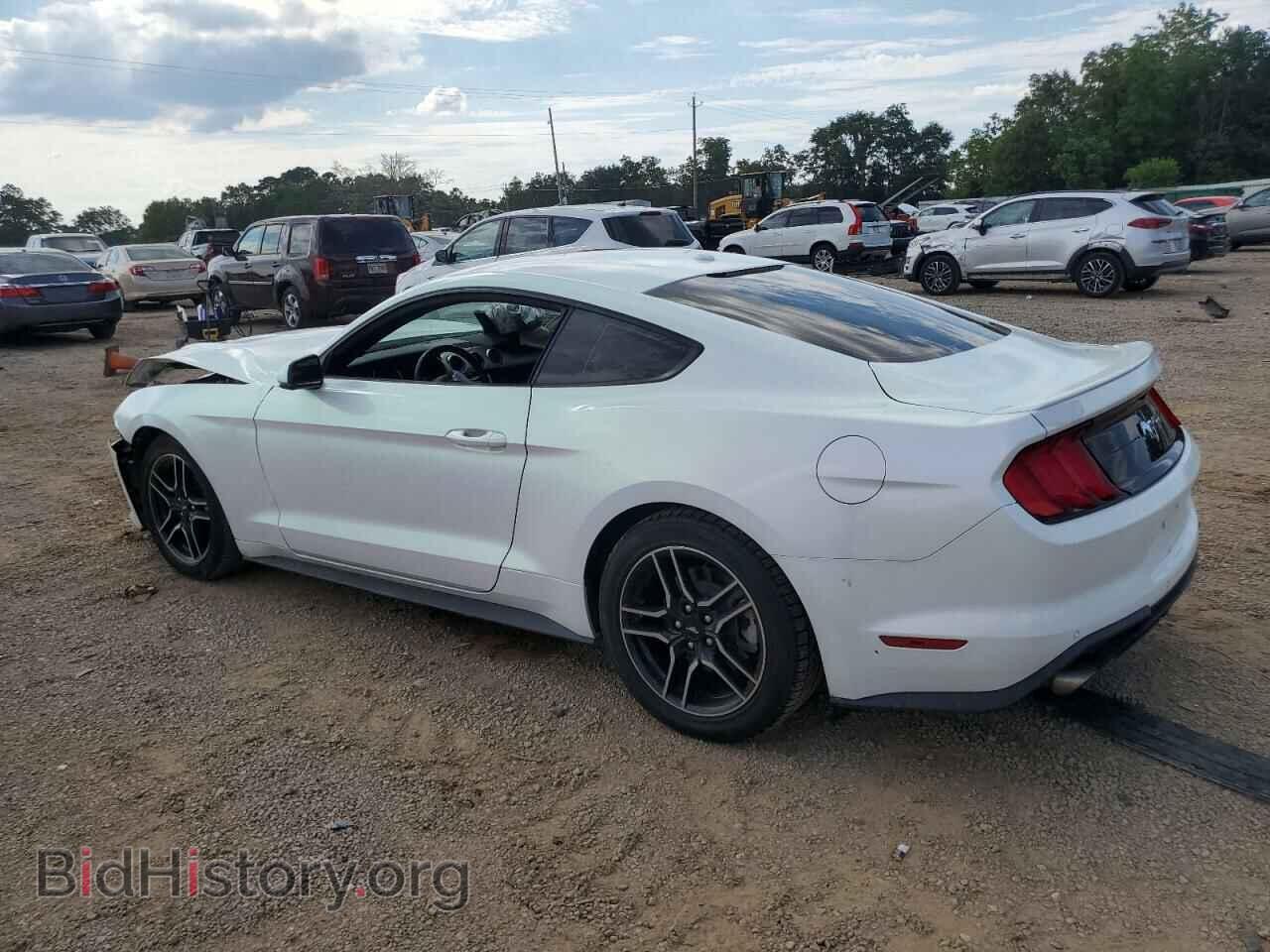 2020 FORD ALL Models - VIN: 1FA6P8THXL5135604 - Фото 2