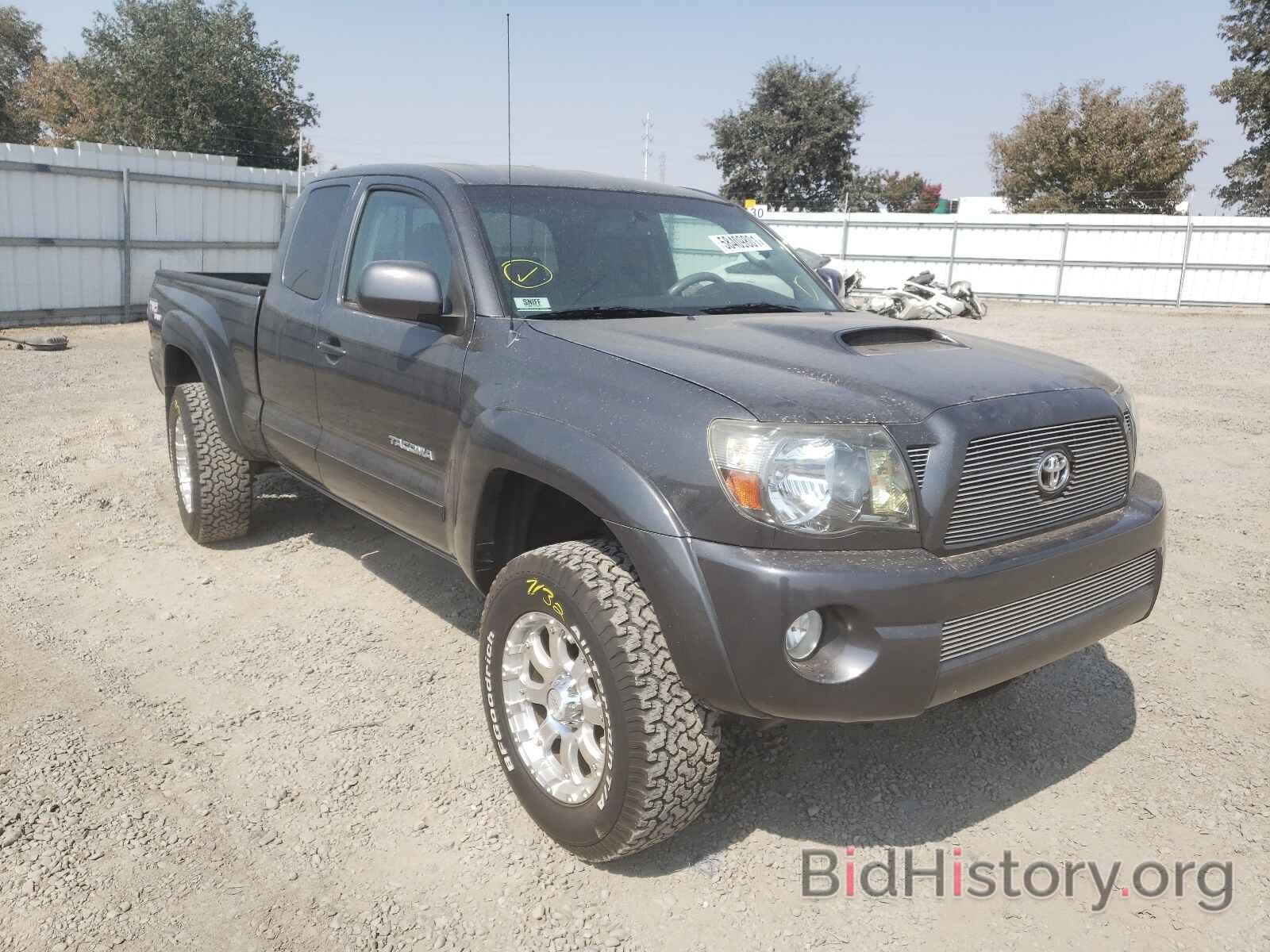 Photo 5TEUU42N29Z631349 - TOYOTA TACOMA 2009