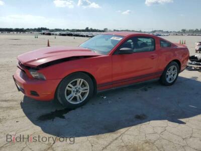 2010 Ford ALL MODELS, красный — VIN 1ZVBP8AN4A5120107, Copart